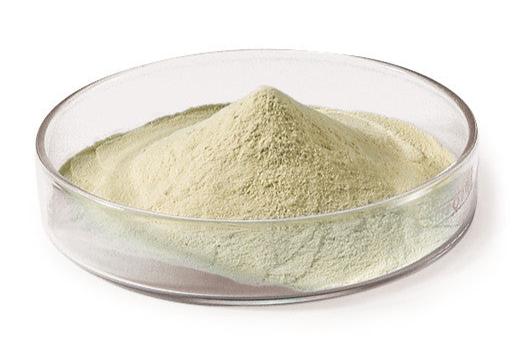 PEPTONE DE SOJA